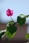 DSC_0030s