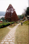 Image3