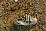 DSC_0083.nef