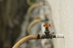 DSC_0278s