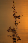 DSC_0077s