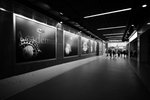 DSC_6504s