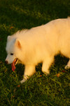DSC_0018.nef