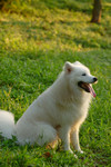DSC_0030.nef