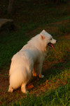 DSC_0034.nef