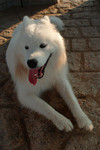 DSC_0076.nef