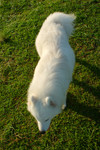DSC_0077.nef