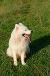 DSC_0122.nef