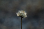 DSC_0549s