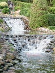 DSCF0250