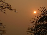 DSCF0254R