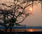 DSCF0257R