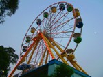 DSCF0294R