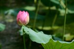 CRW_2388