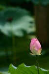 CRW_2392