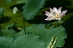 CRW_2402