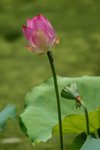 CRW_2406