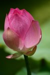 CRW_2410