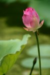 CRW_2412