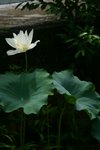 CRW_2419