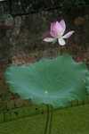 CRW_2433