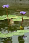 CRW_2448