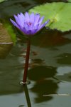 CRW_2455