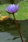 CRW_2458
