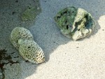 DSCF0440