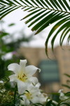 CRW_1270_RJ
