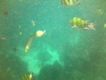 ��� 025_resize