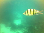 ��� 026_resize