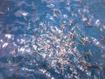 ��� 034_resize