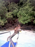 ��� 038_resize
