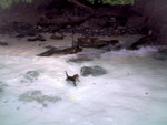 ��� 039_resize
