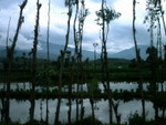 PICT0051_resize