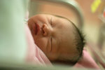 IMG_7782s