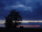 DSC04549