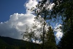 IMG_5668