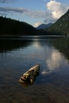 IMG_5819