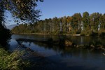 IMG_7623