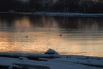 CRW_9352