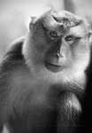 IMG_1235BW