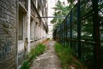 3904_Natura Black_Xtra 400