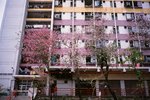 3008_Contax T3_RDP III