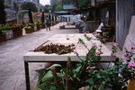 3017_Contax T3_RDP III