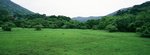 09_Xpan II_45 F4_RDP III