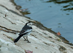 DSC_3633e