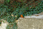 DSC_3690e
