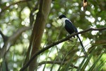 DSC_7287e
